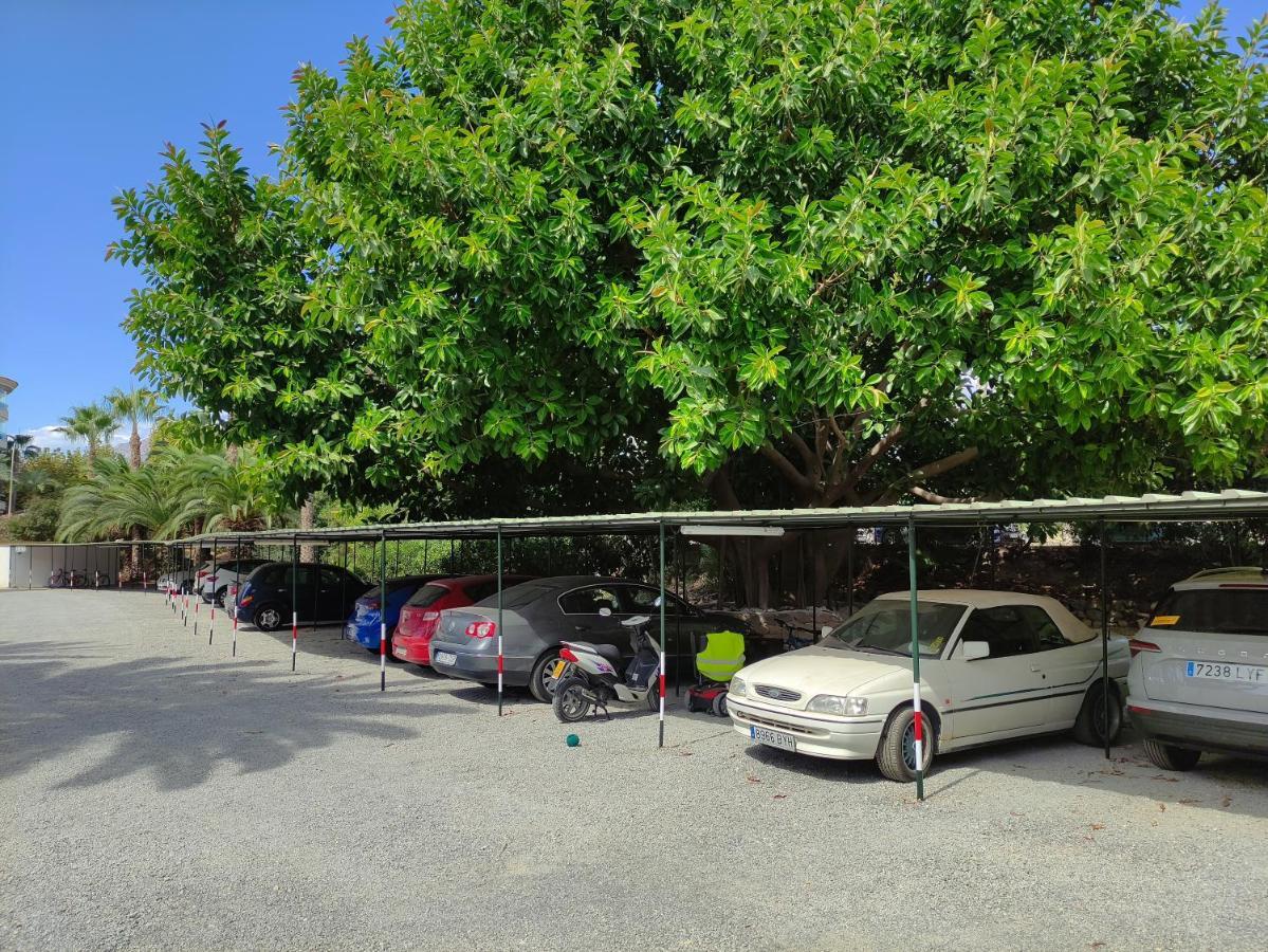 אלביר Albir Cosy Apartment מראה חיצוני תמונה